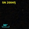 SN 2004fj