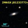 2MASX J01233773+0133504