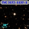 TYC 3172-1137-1