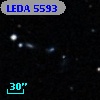 LEDA    5593
