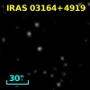 IRAS 03164+4919