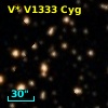V* V1333 Cyg