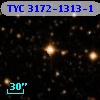 TYC 3172-1313-1