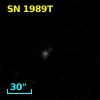 SN 1989T