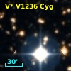 V* V1236 Cyg