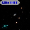 LEDA    8481