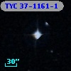 TYC   37-1161-1