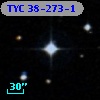 TYC   38-273-1