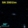 SN 2001im