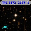 TYC 3172-2137-1