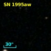 SN 1995aw
