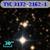 TYC 3172-2162-1