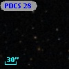 PDCS 28