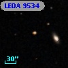 LEDA    9534