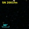 SN 2001fm