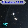 Cl Melotte   20    55