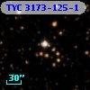 TYC 3173-125-1