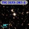 TYC 3173-202-1