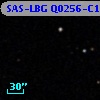 SAS-LBG Q0256-C19