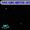 SAS-LBG Q0256-D10