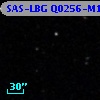 SAS-LBG Q0256-M10