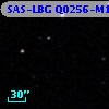 SAS-LBG Q0256-M11