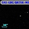 SAS-LBG Q0256-M12