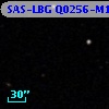 SAS-LBG Q0256-M16