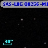 SAS-LBG Q0256-M19