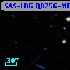 SAS-LBG Q0256-MD5