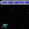 SAS-LBG Q0256-MD6