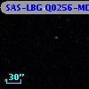 SAS-LBG Q0256-MD21
