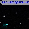SAS-LBG Q0256-MD29