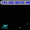 SAS-LBG Q0256-MD31