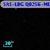 SAS-LBG Q0256-MD33