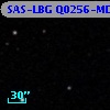 SAS-LBG Q0256-MD38