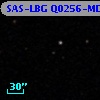 SAS-LBG Q0256-MD40