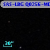 SAS-LBG Q0256-MD41