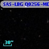 SAS-LBG Q0256-MD51