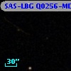 SAS-LBG Q0256-MD52