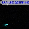SAS-LBG Q0256-MD55