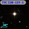 TYC  530-137-1