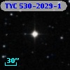 TYC  530-2029-1