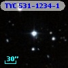 TYC  531-1234-1