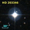 HD 203346