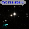 TYC  531-604-1
