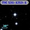 TYC  531-1253-1