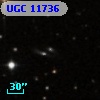 UGC 11736