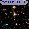 TYC 3173-878-1