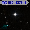TYC  537-1275-1
